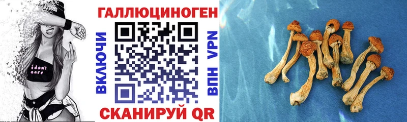 omg как зайти  Гороховец  Псилоцибиновые грибы ЛСД 